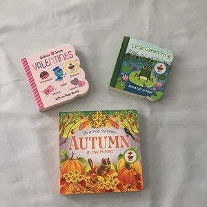 3 Lift-a-Flap 3 book bundle
